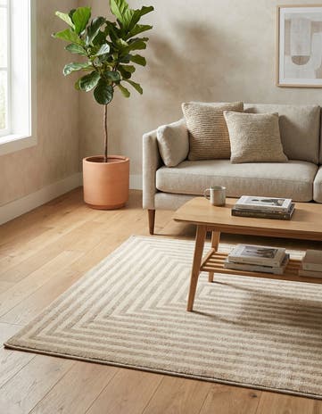 4' x 6' Contour Rug