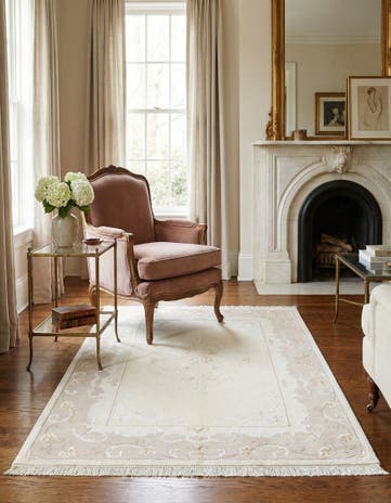 3' 11 x 5' 11 Darya Rug