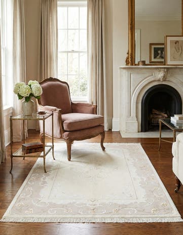 3' 11 x 5' 11 Darya Rug