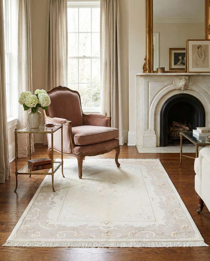 3' 11 x 5' 11 Darya Rug