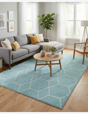 5' 3 x 8' Trellis Frieze Rug