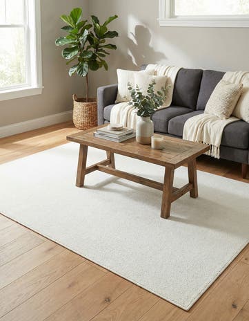 6' x 9' Solid Frieze Rug