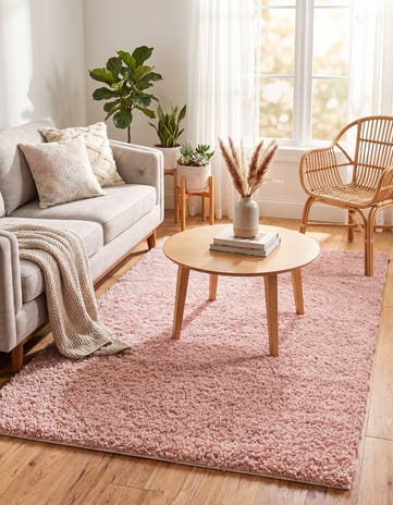 4' x 6' Zermatt Shag Rug