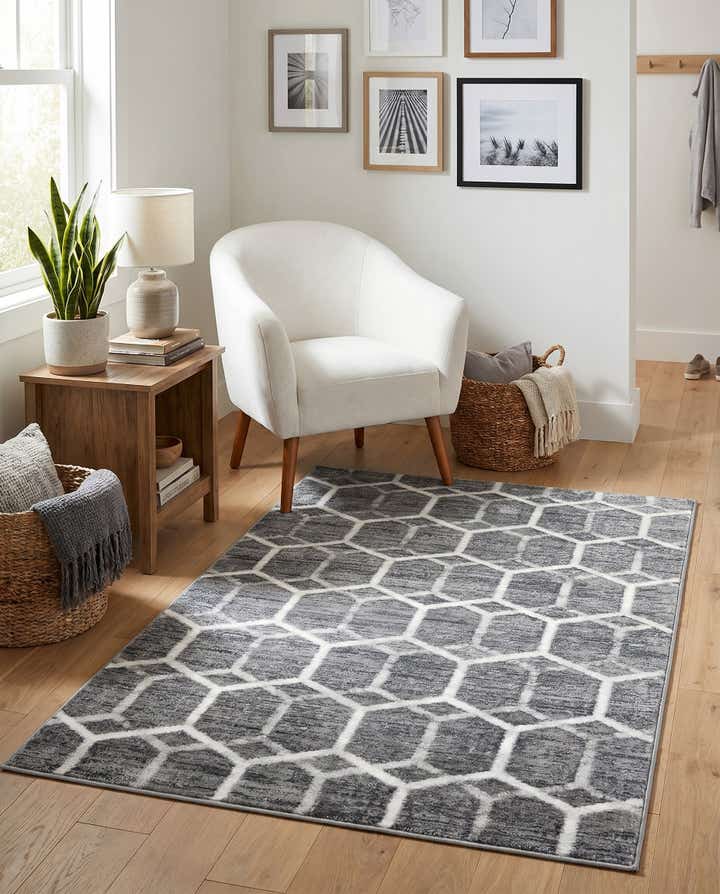 3' 3 x 5' 3 Lattice Trellis Rug