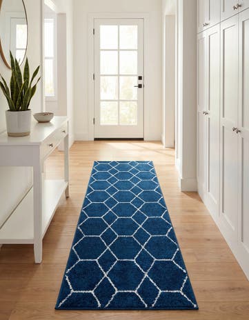 2' x 6' Lattice Frieze Runner Rug