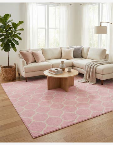 10' x 14' Trellis Frieze Rug