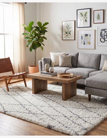 7' x 10' Soft Touch Shag Rug