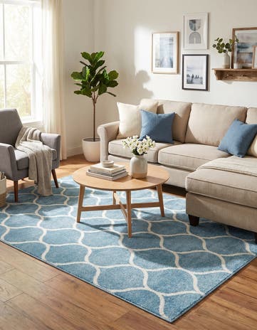 5' 3 x 8' Trellis Frieze Rug