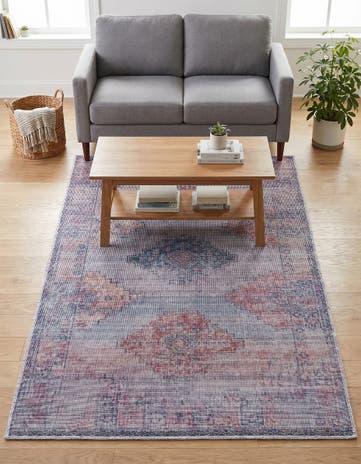 4' x 6' Washable Sisu Rug
