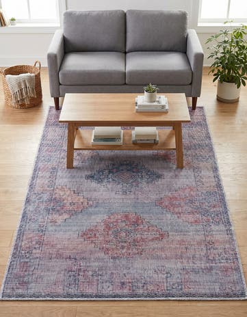 4' x 6' Washable Sisu Rug