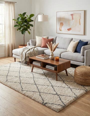 7' x 10' Moroccan Shag Rug