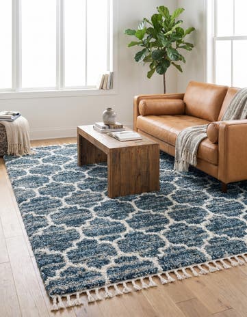 8' x 10' Athena Shag Rug