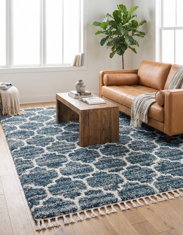 8' x 10' Athena Shag Rug