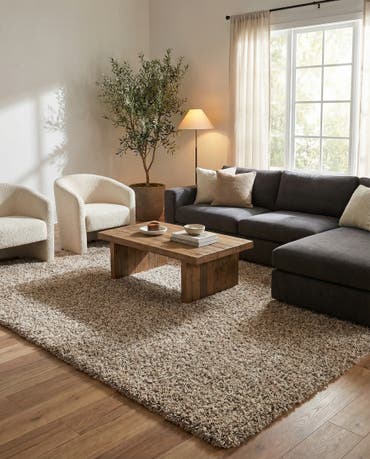  10' x 14' Solid Shag Rug