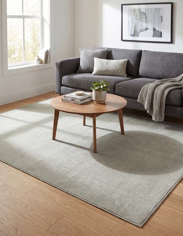 Light Gray Everyday Solid Rug