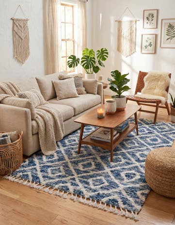 5' x 8' Athena Shag Rug