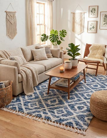 5' x 8' Athena Shag Rug