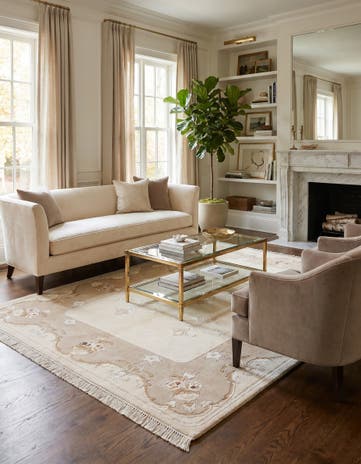 4' x 6' 2 Darya Rug