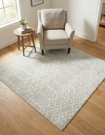 5' 3 x 5' 3 Paxon Trellis Square Rug