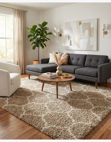 10' x 10' Trellis Shag Square Rug