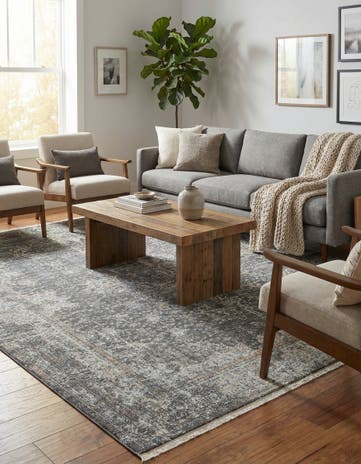 Fume Gray Santiago Rug