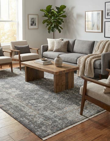 Fume Gray Santiago Rug