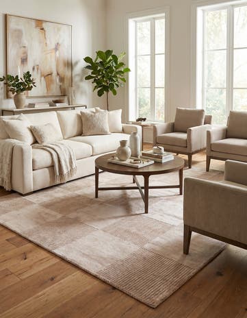 4' 6 x 6' 8 Darya Rug