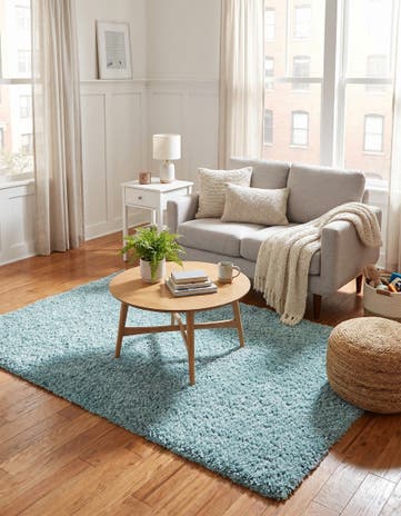 4' x 6' Zermatt Shag Rug