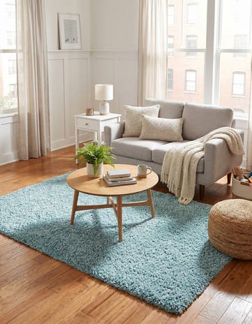 4' x 6' Zermatt Shag Rug
