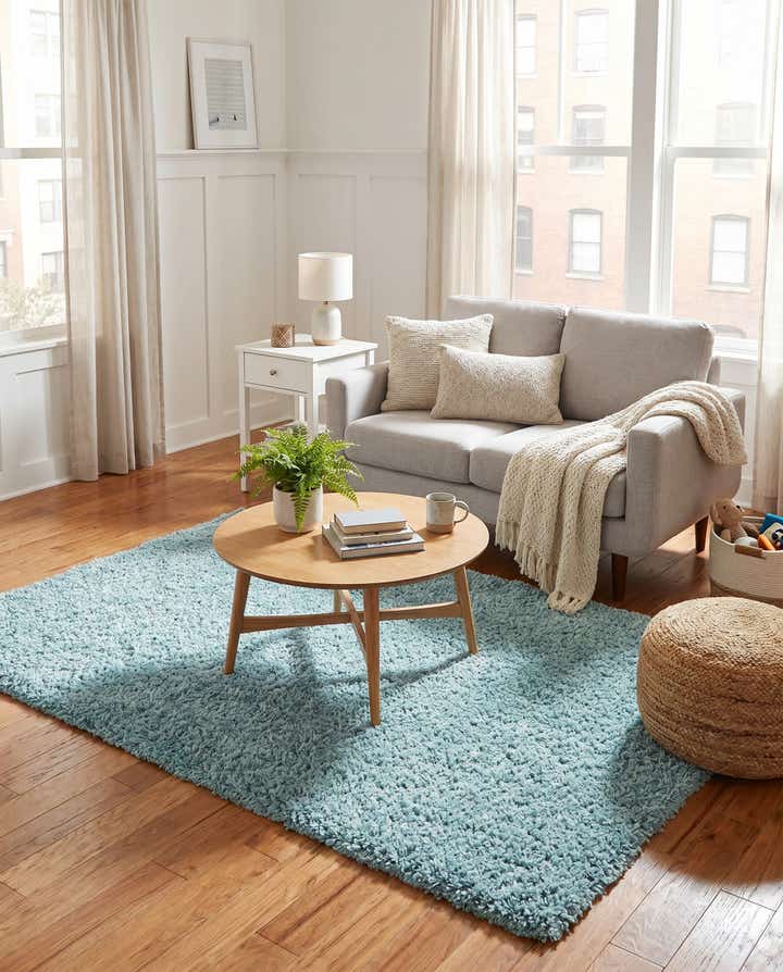 4' x 6' Zermatt Shag Rug