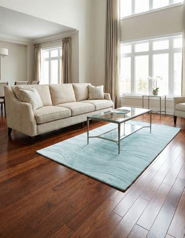 3' 10 x 6' Darya Rug