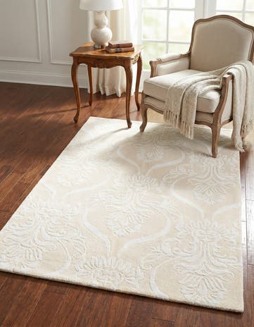 3' 11 x 5' 9 Darya Rug