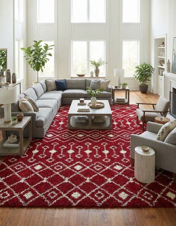 10' x 14' Moroccan Trellis Shag Rug