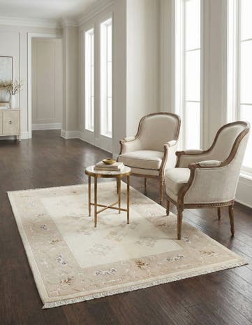 4' x 6' 2 Darya Rug
