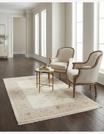 4' x 6' 2 Darya Rug