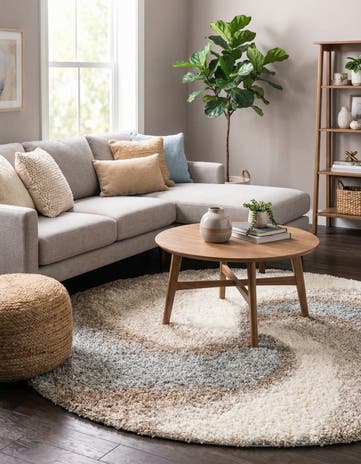 5' 3 x 5' 3 Soft Touch Shag Round Rug