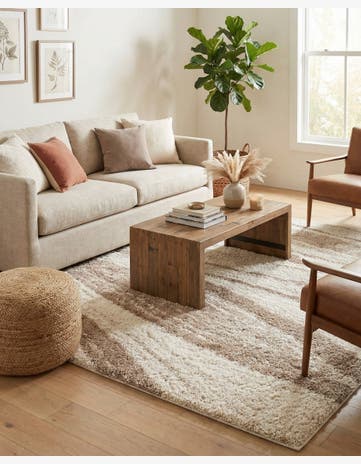 Beige and Ivory Soft Touch Shag Rug