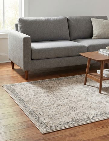 3' 3 x 5' 3 Oregon Rug