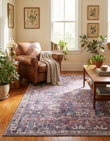 5' 3 x 7' Nostalgia Rug