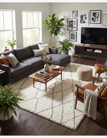 Ivory Soft Touch Shag Rug