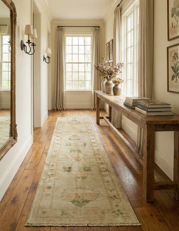 2' 9 x 10' 4 Hand Knotted Oushak Wool Runner Rug