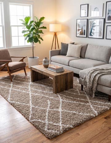 7' 10 x 10' Soft Touch Shag Rug