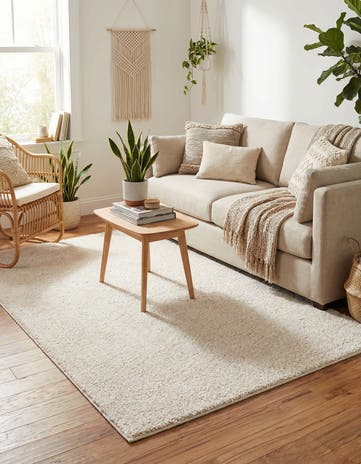 4' x 6' Solid Frieze Rug
