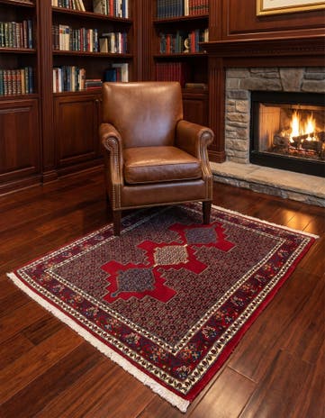 3' 11 x 4' 11 Senneh Square Rug