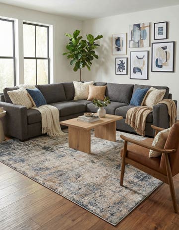 8' x 10' Caspian Rug