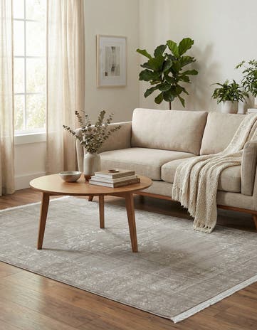 4' x 6' Modern Classical Rug