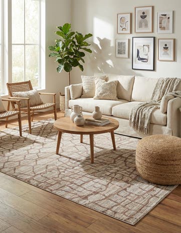 Beige Aqua Rug