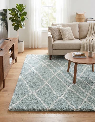 5' 3 x 8' Soft Touch Shag Rug