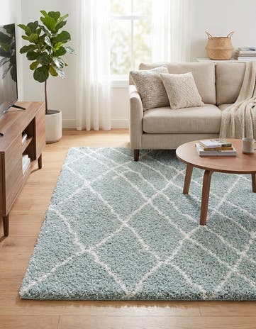 5' 3 x 8' Soft Touch Shag Rug