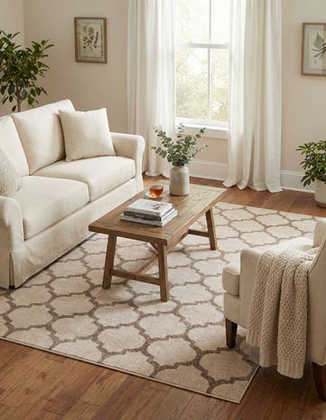 5' 3 x 8' Trellis Rug